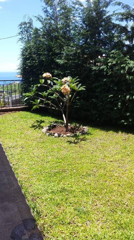 Paraiso Das Flores Estreito Da Calheta Exterior photo